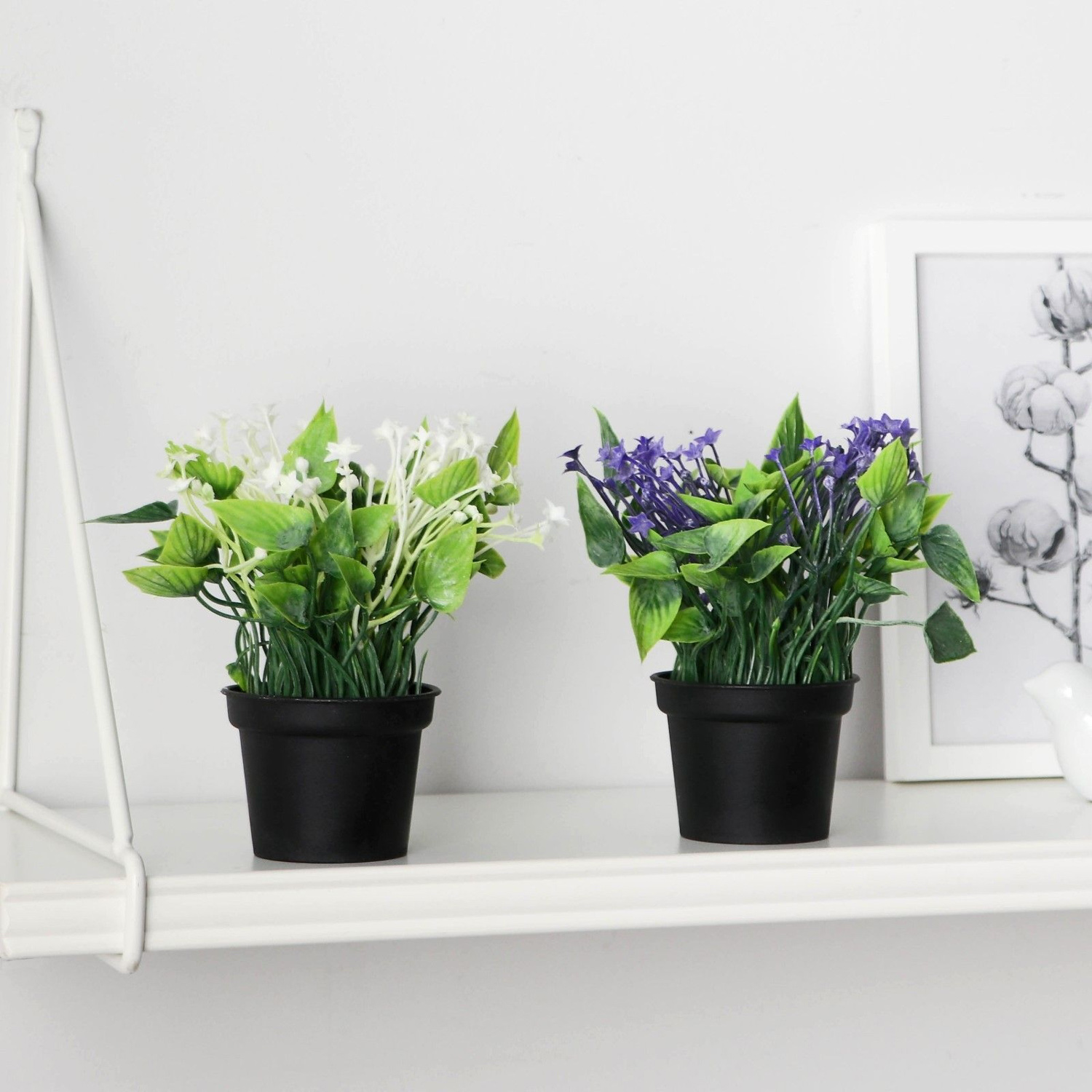 Бонсай в горшке "Кислица люкс" 7х14 см, микс   9750539