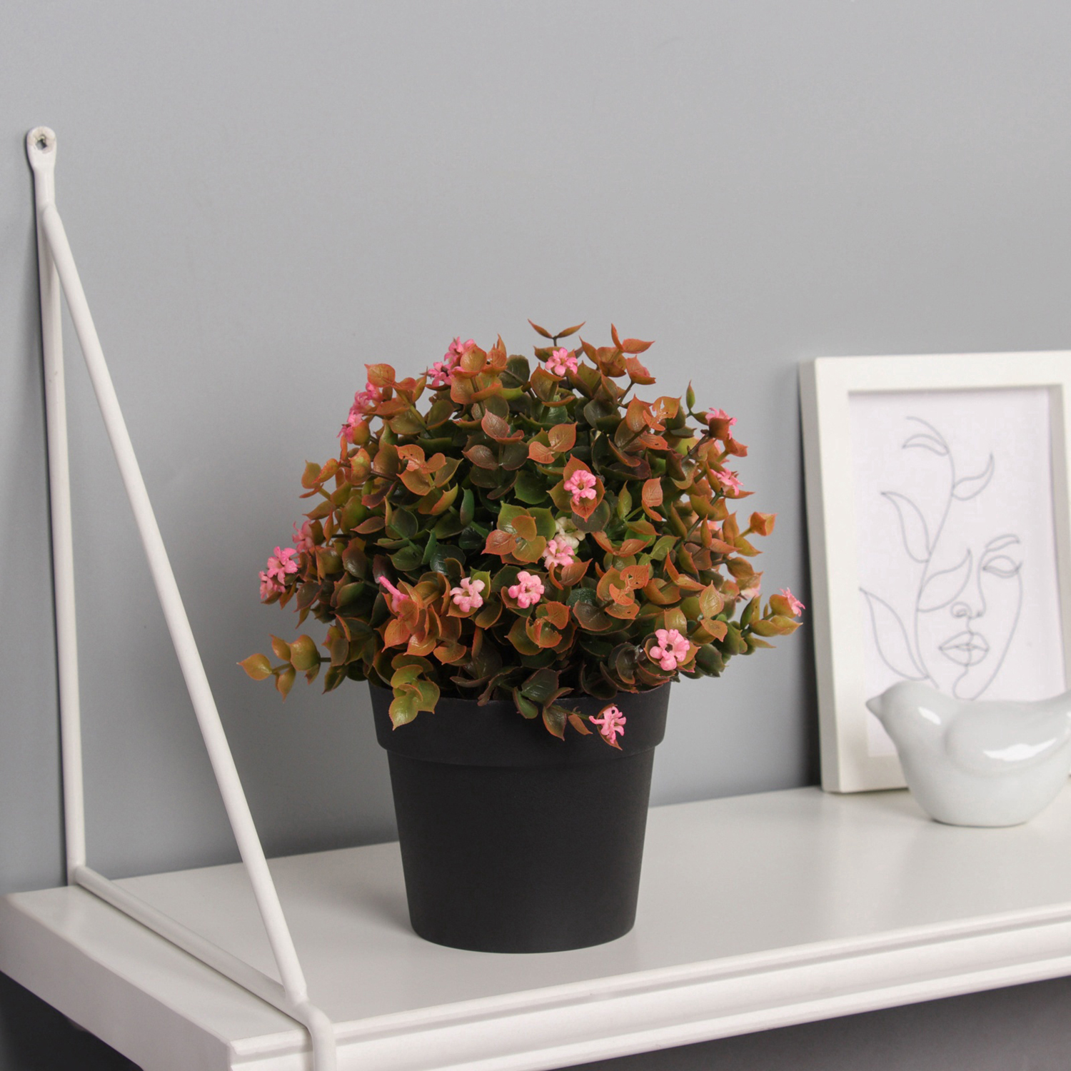 Бонсай в горшке "Фиалка мини с зеленью галант" 18х10 см, микс   10697875