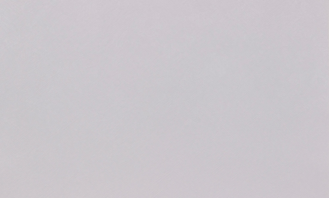 яяяОбои винил "AS Палитра" 80003-14 0.53*10  *12