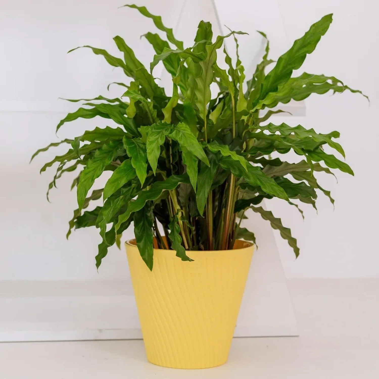 Кашпо пластм. "Луи" 1,2л d верха 140мм h129мм со вставкой Желтый AML-1,2-07 ("VipSet") *1/30