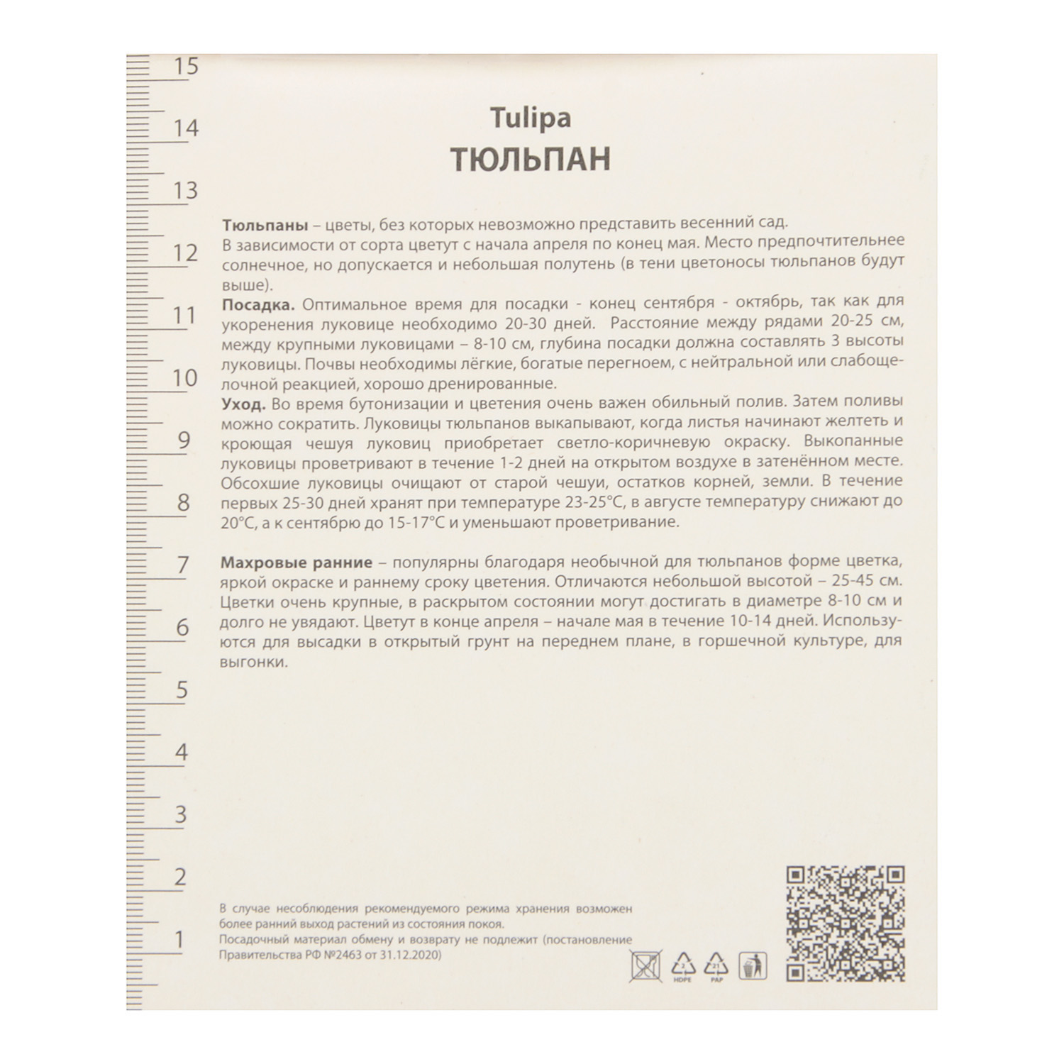 Тюльпан Махровый ранний Дансинг Куин 12+/5шт