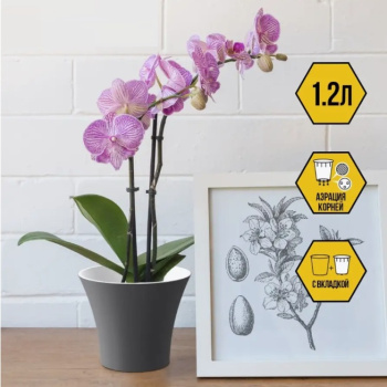 Кашпо пластм. "Сити" 1,2л d верха 150мм h130мм со вставкой Антрацит С15-12 *1/23