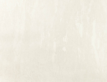 Обои флиз "AS Палитра" Аспект Юнион (беж.)  70672-21  1,06*10м *1/6